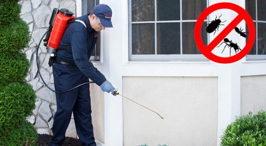 Battalgazi Böcek ve Haşere İlaçlama böcek ilaçlama ve haşere kontrolü — ilaclama-tr.com